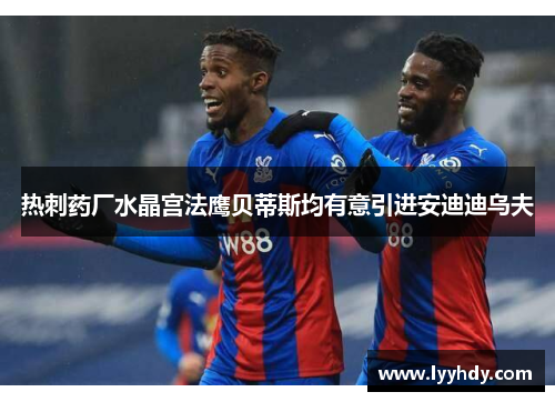 热刺药厂水晶宫法鹰贝蒂斯均有意引进安迪迪乌夫